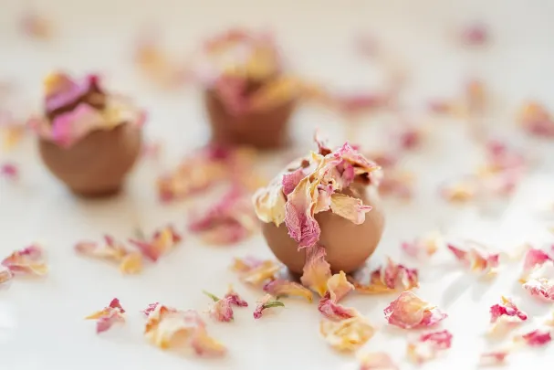 Casino Paradise Win Aplicación Android/iOS